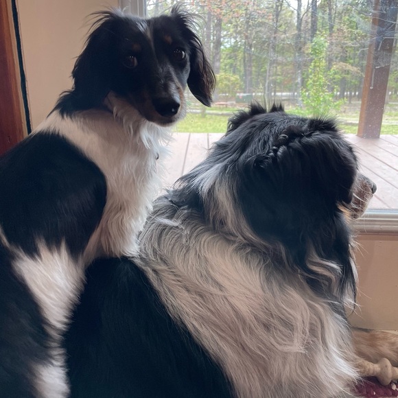 🦋Meet your Posher, Katy🦋 - Picture 6 of 12